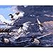 Produktbild hysxm Enten Vögel See Bilder Malen Nach Zahlen DIY Digitales Leinwand Ölgemälde Wohnkultur-with Framed