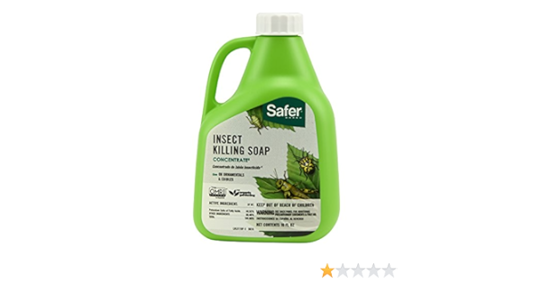 Buy Safer Brand 5118 Insect Killing Soap 16 Ounce Concentrate Online At Low Prices In India Amazon In
