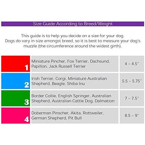 cesar millan dog muzzle