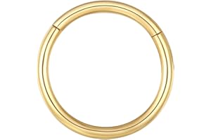 BLESSMYLOVE Nose Rings Hoop 316L Surgical Steel 20G 18G 16G Cartilage Earrings Conch Daith Helix Rook Tragus Lobe Snug Body Piercing Jewelry Stainless Steel Hinged Segment Rings Lip Rings