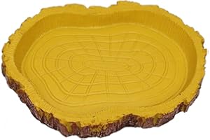 HOUTOKIT Reptile Food Water Bowl, Resin Food Feeder Worm Dish Pet Food Tray for Tortoise,Gecko, Snake, Lizard,Turtle