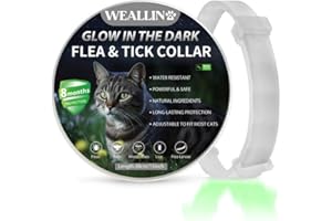 WEALLIN Lumineux Collier Anti-puces pour Chats, Collier Anti Puces et Tiques pour Chats Ajustable et Imperméable, Protection Naturelles et Efficace Pendant 8 Mois à Tous Les Chat, Gris (1 PC)