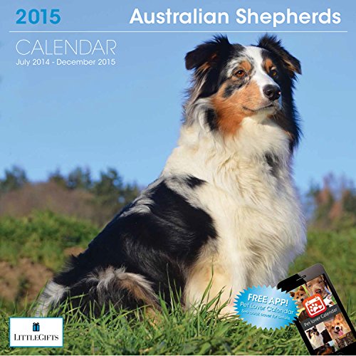 Little gifts 0846998081030 Australian Shepherd 2015 Calendar 8103 ...