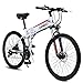 Produktbild Xiaotian 26 Zoll elektrisches faltendes Fahrrad-Fahrrad-Rennrad-Doppelsuspendierungs-Motor 48V10ah 300W, Aluminiumlegierungs-Rahmen,White