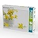 Produktbild CALVENDO Puzzle Hypericum perforatum; Johanniskraut 2000 Teile Lege-Größe 90 x 67 cm Foto-Puzzle Bild von Avianaarts Design Fotografie by Tanja Riedel