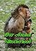 Our Animal Motherhood by Emma Baus