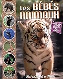 Les bébés animaux