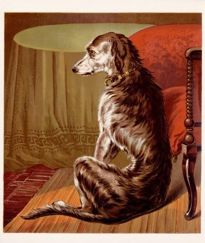 Fido a Ladys Pet, High Life illustration Art Picture (A3)