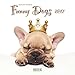 Funny Dogs 2017: Broschürenkalender mit Ferienterminen by 