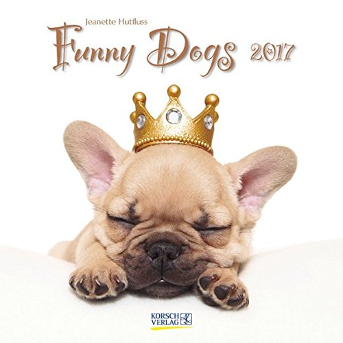 Funny Dogs 2017: Broschürenkalender mit Ferienterminen
