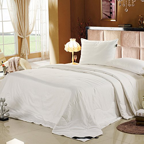LILYSILK Silk Covered Silk Duvet Filled by 100% Mulberry Silk 1 Pc Silk Single-140x200cm
