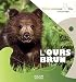 L'ours brun - Pascale Hédelin, Amandine Labarre