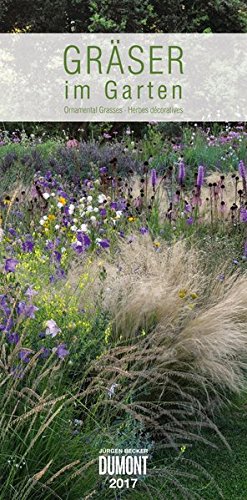 Gräser im Garten 2017 - DuMont Wandkalender - mit den wichtigsten Feiertagen - Hochformat 33,8 x 68,5 cm