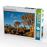 Puzzles sind unterhaltend, fördern Wohlbefinden und stimulieren beide Hälften des Gehirns. Das kann die mentale Leistungsfähigkeit sowie Konzentration und Gedächtnis fördern