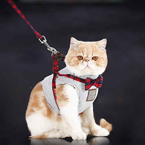 Ideal Pour Petit Chien Et Pour Chat Skyoo Harnais En Maille Respirante Avec Laisse Harnais De Securite Bebe Puericulture Libertywings Vn