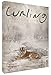 Curling [FR Import]