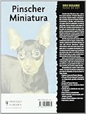 Image de Pinscher Miniatura/ Miniature Pinscher