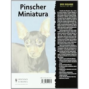 Pinscher Miniatura/ Miniature Pinscher
