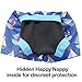 Splash About Happy Nappy Board Shorts - Set Sail, Large, 6-12 Months