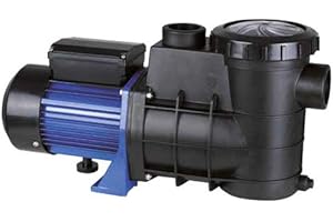 Fluidra - Pompe de piscine hors sol BERING auto-amorçante 230 V 0,5 CV débit 10m3/h - 48384 - Fluidra