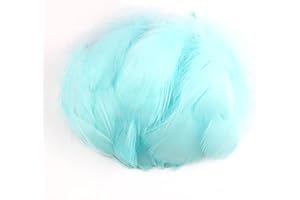 DUORIES Lot 100 plumes colorées pour travaux manuels,plumes d'oie pour bricolage,masques,chapeaux,boucd'oreilles,accessoires pour cheveux,attrape-rêves,mariage,carnaval,fête,décoration 7 à 12 cm,bleu bébé