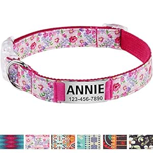 Vcalabashor Collar de Perro Personalizado, Placa de Acero Inoxidable grabada con Nombre y Número de Teléfono del Perro,Pink Pequeño