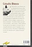 Image de Colmillo Blanco (Clásicos - Tus Libros-Selección)
