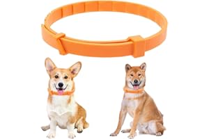 XBFOCNH Collier Anti Puces pour Chien, 65cm Réglable Collier Anti-Puces et Tiques pour Chiens et Imperméable,12 Mois Collier Antiparasitaire pour Chiens