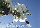 Ein Jahr in der Natur (Tischaufsteller DIN A5 quer): (Tischaufsteller, 14 Seiten) (CALVENDO Natur) [Taschenbuch] [Jan 27, 2014] Schagow, Veit by 