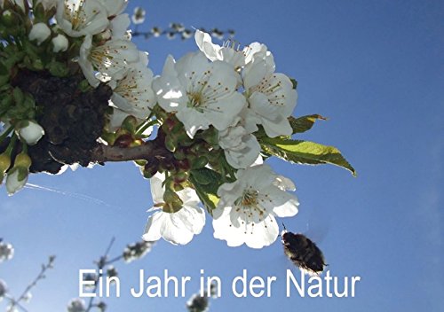 Ein Jahr in der Natur (Tischaufsteller DIN A5 quer): (Tischaufsteller, 14 Seiten) (CALVENDO Natur) [Taschenbuch] [Jan 27, 2014] Schagow, Veit
