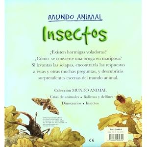Insectos/ Minibeasts