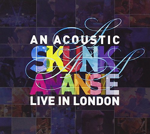 An Acoustic Skunk Anansie 1