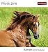 Pferde - Kalender 2018: Kalender mit 53 Postkarten by 