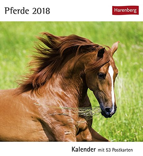 Pferde - Kalender 2018: Kalender mit 53 Postkarten