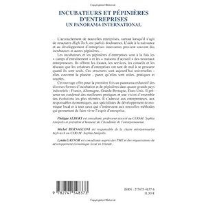 Incubateurs et pépinières d'entreprises : un panorama international