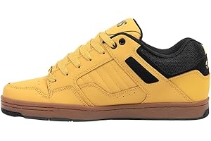 DVS Footwear Mens Enduro 125 Skate Shoe