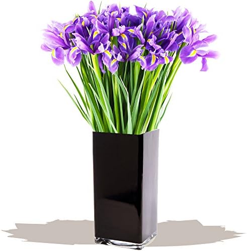 Just Blue Iris Bouquet - Exclusive Blue Flowers Bouquets for Spring Sending by Eden4flowers