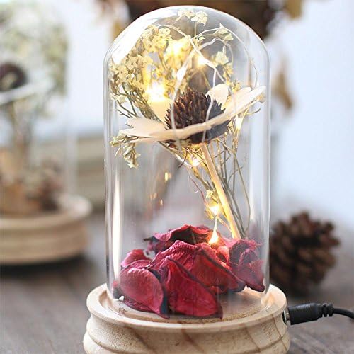 CFZHANG Spirit Space Glass Cover Crafts Home Life Decoration Decoration, ht812 heart space glass hood