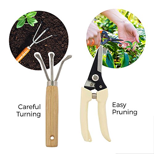 (7in1) ORIGINAL GardenHOME ZIMMERPFLANZEN WERKZEUG SET, SEHR ROBUST, KLEINER FORMFAKTOR, Pflanzkelle, Blumenkelle, Winkelharke, Gartenschere, Blattschere u. Sprühflasche m. GRATIS TRAGETASCHE - 4