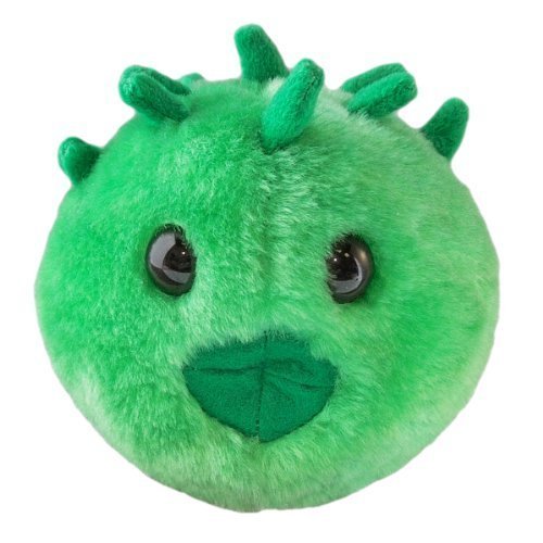 GIANTMICROBES - CHLAMYDIA