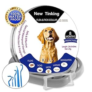 Wanxida Collar Antiparasitario para Perros y Gatos contra Pulgas, Garrapatas y Mosquitos Tamaño Ajustable(64cm)