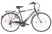 Produktbild Herrenfahrrad 28 Zoll Hillside City Bird in schwarz Stadtrad City Bike Citybike 21 Gang Shimano Tourney Schaltung Beleuchtung Gepäckträger Seitenständer Trekkingrad - neues Modell 2016
