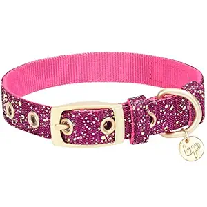 Blueberry Pet 4 Colors Glam Life Gold Stamping Lace Dog Collar in Cerise Pink, Neck 9-12.5