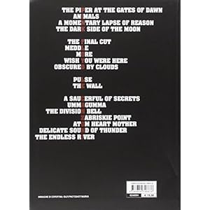 Tutte le canzoni dei Pink Floyd. Il fiume infinito