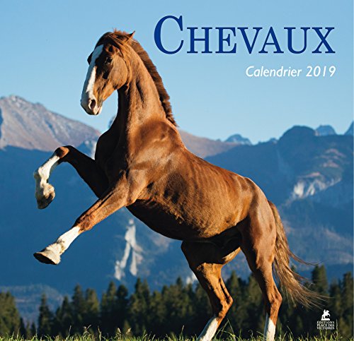 Recherche et téléchargement gratuits de livres PDF Chevaux - Calendrier 2019 DJVU