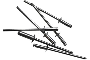 Desconocido RAYDAN Caja de 105 Remaches 75151, 2,4 mm de diámetro y 8 mm de Alto.