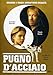 Pugno d'acciaio