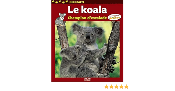 Amazon Fr Koala Champion Descalade Callioni Joseph Livres