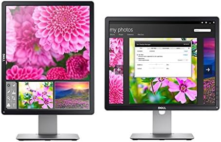 Dell TFT LCD, P1914S