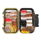 FISHINGSIR 100 Stück Forellen Angel-Fliegen Kunstköder Set - Trockenfliegen, Nassfliegen, Nymphe, Streamer und Emerger Fliegenfischen köder schachtel mit Taschen